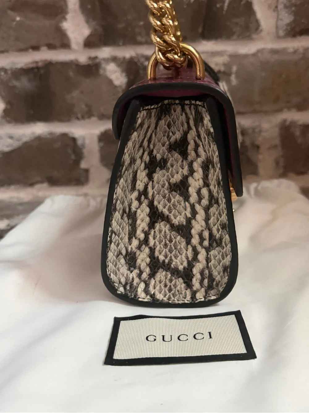 Gucci comes certificate